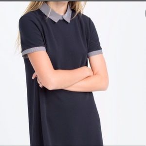 Zara Trafalue navy shift dress